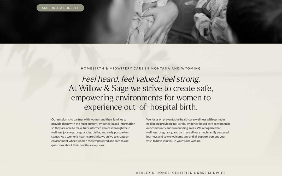 Homebirth Midwife Web Design